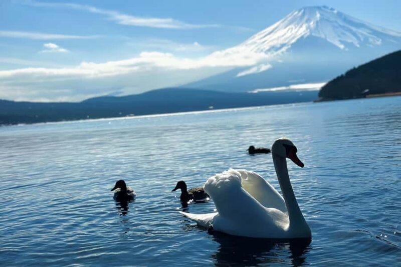 From Tokyo: Mount Fuji Full Day Customized Private Tour 9pax - Final Thoughts