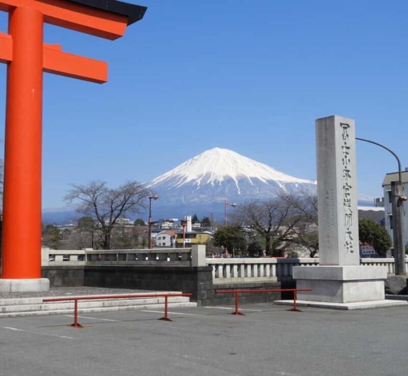 From Tokyo: Mount Fuji Full-Day Customized Tour with Guide - Key Points