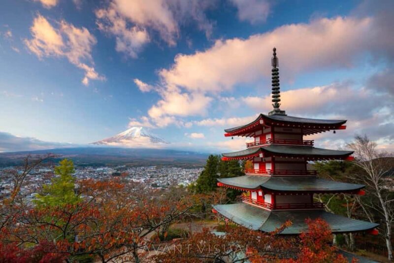 From Tokyo: Mount Fuji Full Day Private & Customizable Tour - Key Points