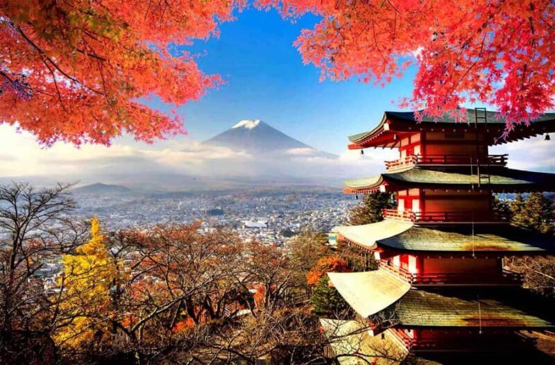From Tokyo: Mount Fuji Full Day Private & Customizable Tour - Practical Considerations