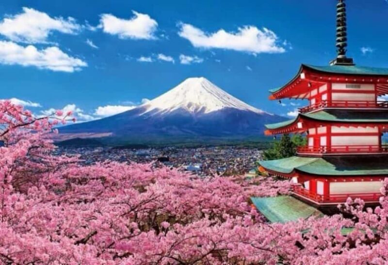 From Tokyo: Mount Fuji Full Day Private & Customizable Tour - FAQ