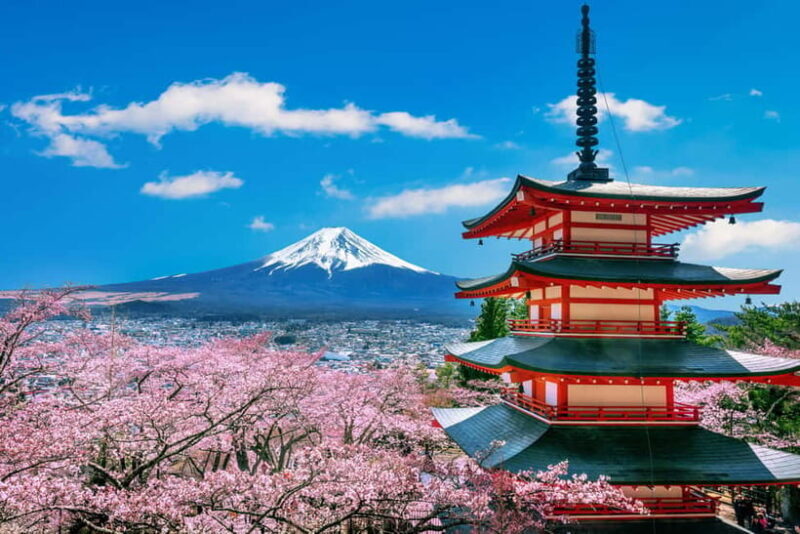 From Tokyo: Mount Fuji Full Day Private Customizable Tour - A Closer Look at the Itinerary