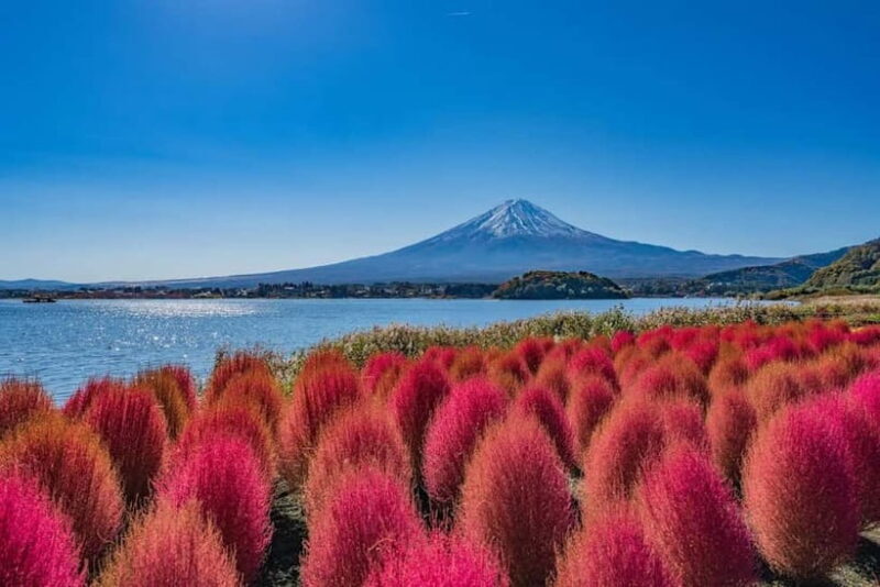 From Tokyo: Mount Fuji Full Day Private Customizable Tour - Who Will Love This Tour?