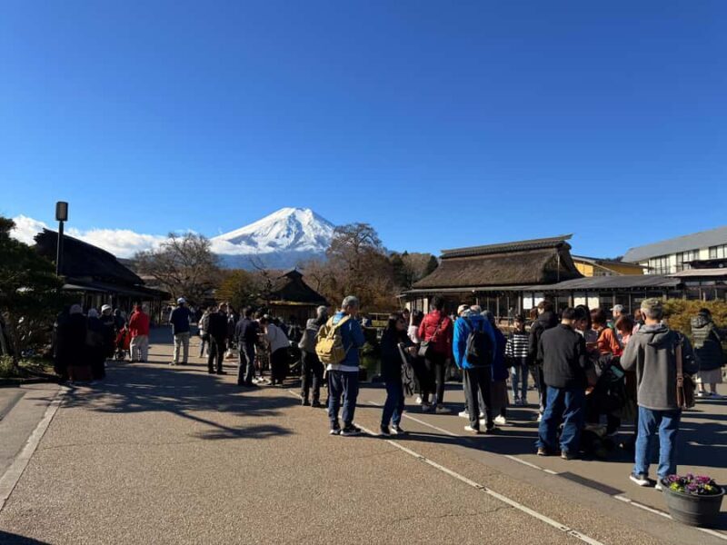 From Tokyo: Mount Fuji Full-Day Private Sightseeing Tour - The Sum Up
