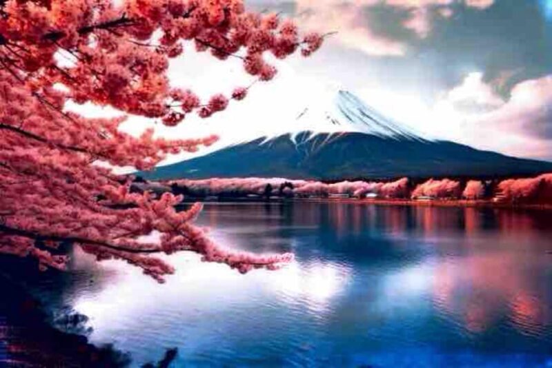 From Tokyo: Mount Fuji Full Day Private Tour English Guide - Why Choose This Tour?