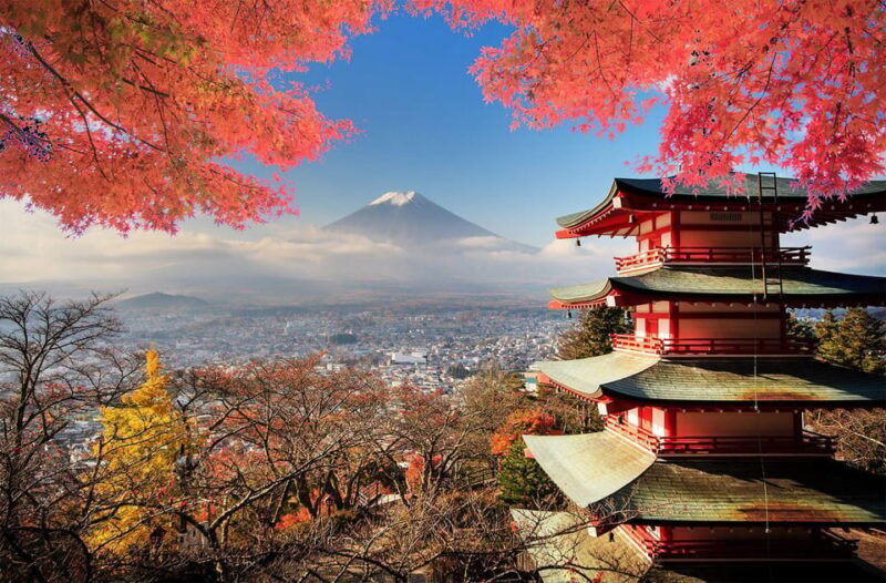From Tokyo: Mount Fuji Full Day Private Tour English Guide - The Comfort of a Private, Custom Experience