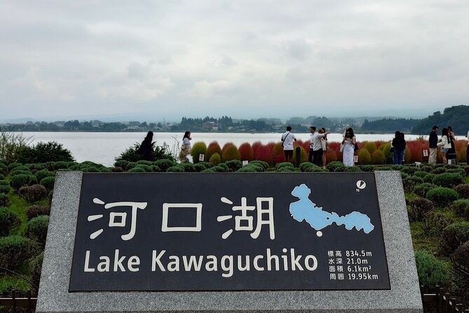 from-tokyo-mount-fuji-full-day-private-tour-with-english-guide