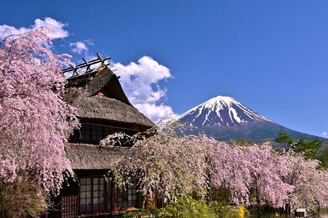 From Tokyo Mount Fuji Full Day Shared Tour - Why This Tour Works Well for Certain Travelers