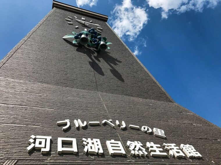from-tokyo-mount-fuji-full-day-sightseeing-trip