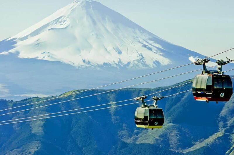 From Tokyo: Mount Fuji & Hakone Full Day Private Tour - Practical Details and Value