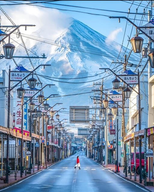 From Tokyo: Mount Fuji & Hakone Full Day Private Tour - Who Should Book This Tour?