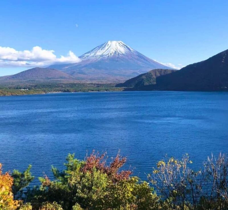 From Tokyo: Mount Fuji & Hakone Private Customizable Tour - Who Is This Tour Best For?