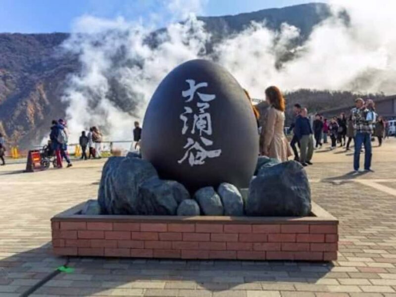 From Tokyo: Mount Fuji & Hakone Private Customizable Tour - An Overview of the Experience