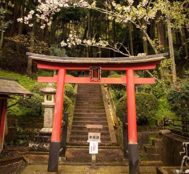 From Tokyo: Mount Fuji & Hakone Private Customizable Tour - Exploring the Mount Fuji & Hakone Private Tour: An In-Depth Review