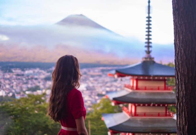 From Tokyo : Mount Fuji & Hakone Private Tour With Guide - Cost and Value