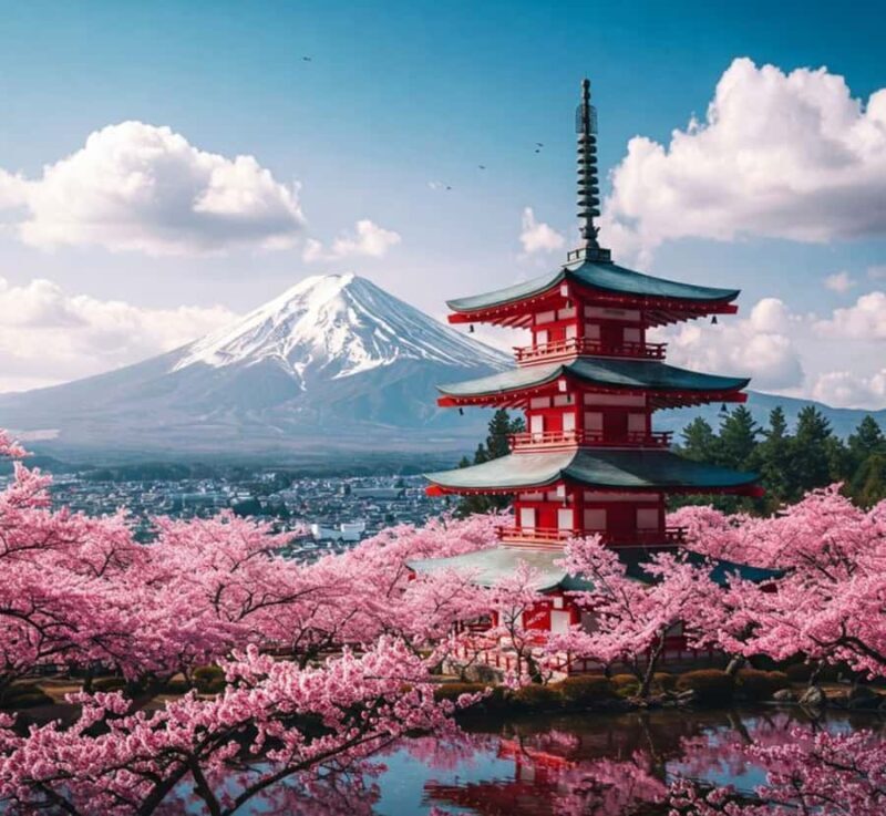 From Tokyo: Mount Fuji & Hakone Private Tour with Guide - Exploring the Itinerary: What You Can Expect