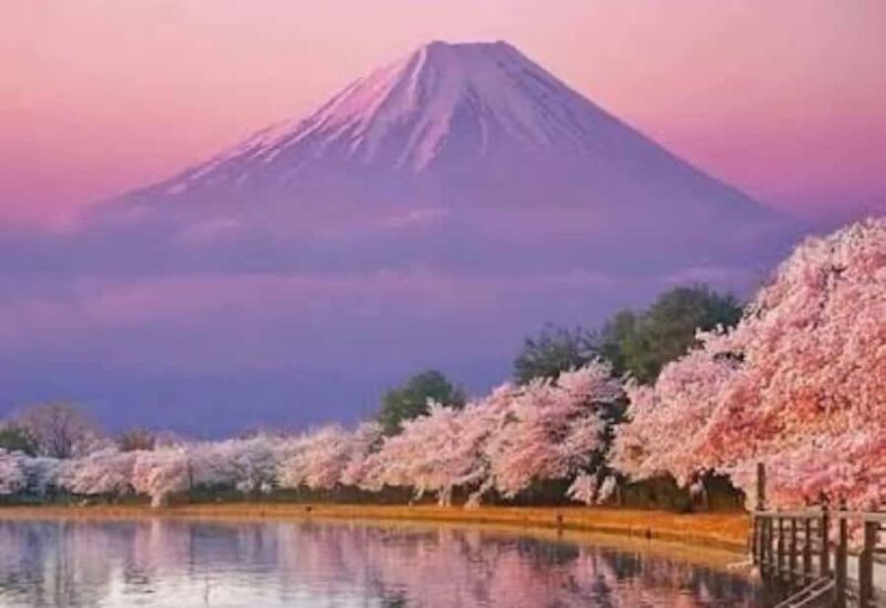 From Tokyo: Mount Fuji Highlight Full Day Private Tour - FAQ