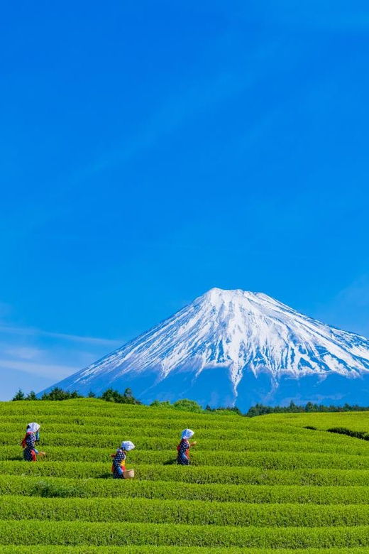 from-tokyo-mount-fuji-highlight-photo-spots-full-day-tour
