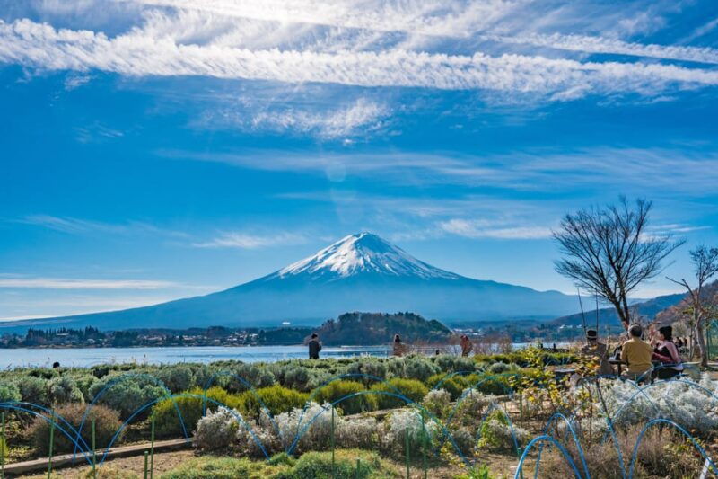 from-tokyo-mount-fuji-highlight-photo-spots-full-day-tour