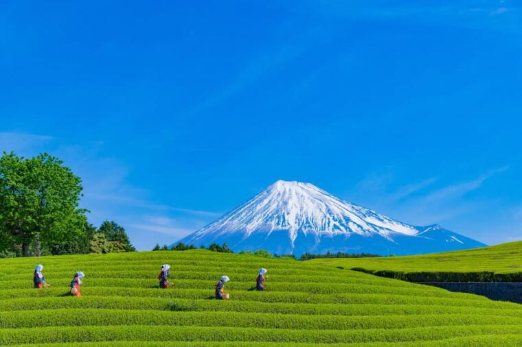 from-tokyo-mount-fuji-highlight-photo-spots-full-day-tour