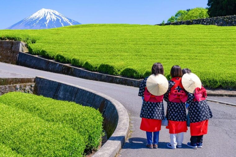 from-tokyo-mount-fuji-highlight-photo-spots-full-day-tour
