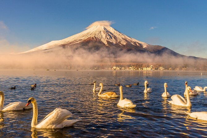 from-tokyo-mount-fuji-highlights-tour-with-kawaguchi-lake-cruise