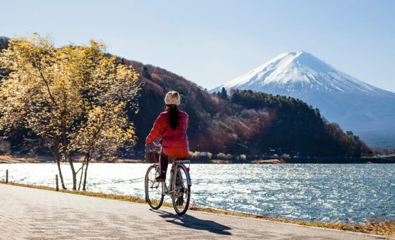 From Tokyo: Mount Fuji Instagram Spots 1-Day Private Tour - Key Points