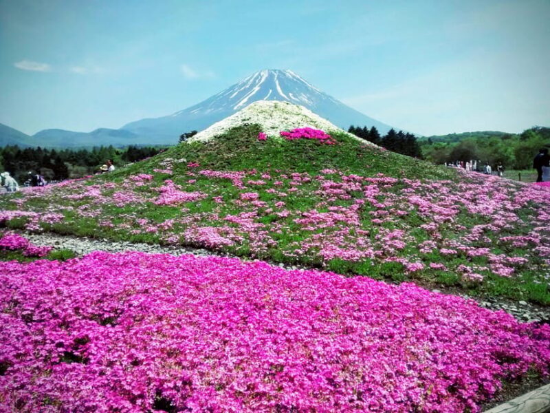 From Tokyo: Mount Fuji Instagram Spots 1-Day Private Tour - What Makes This Tour Stand Out