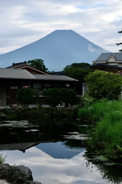 From Tokyo: Mount Fuji Instagram Spots 1-Day Private Tour - Is This Tour Worth the Price?