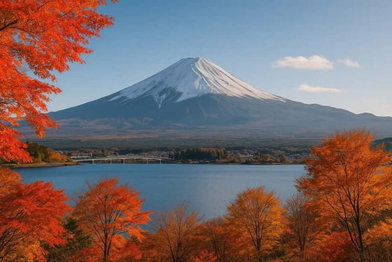 From Tokyo: Mount Fuji One-Day Private Customizable Tour - Summary: Is It Worth It?