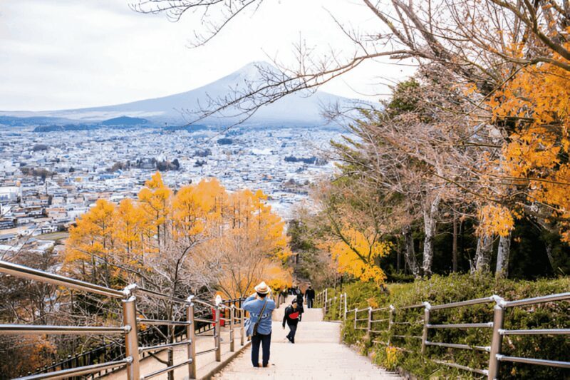 From Tokyo: Mount Fuji or Hakone Customized Day Trip - Key Points