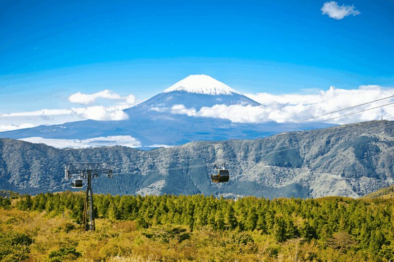 From Tokyo: Mount Fuji or Hakone Customized Day Trip - FAQ