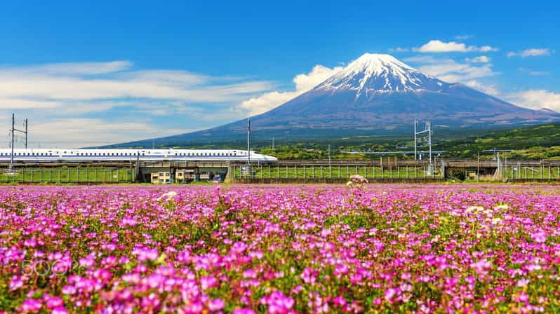 from-tokyo-mount-fuji-oshino-hakkai-hot-springs-tour