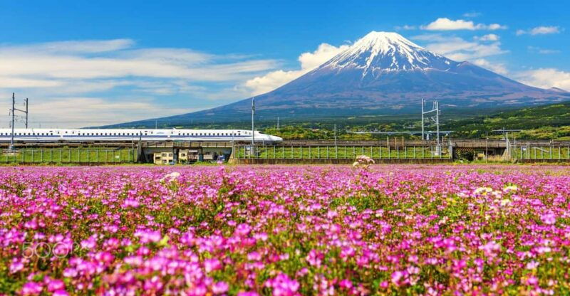 from-tokyo-mount-fuji-oshino-hakkai-hot-springs-tour