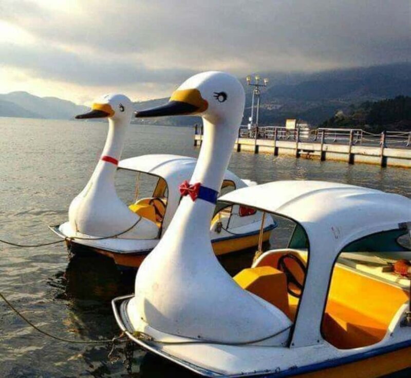 From Tokyo: Mount Fuji Private Customizable Full-Day Tour - Introduction