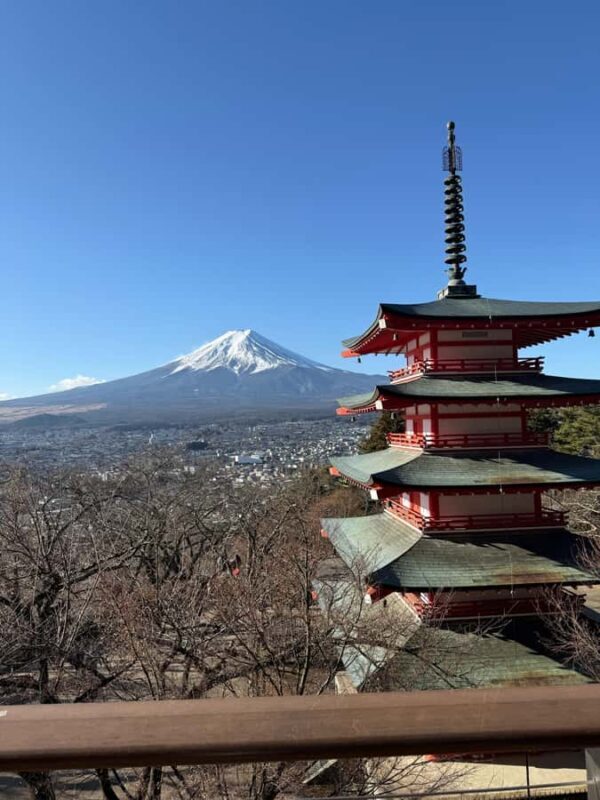 From Tokyo: Mount Fuji Private Customized Tour English Guide - Additional Notes
