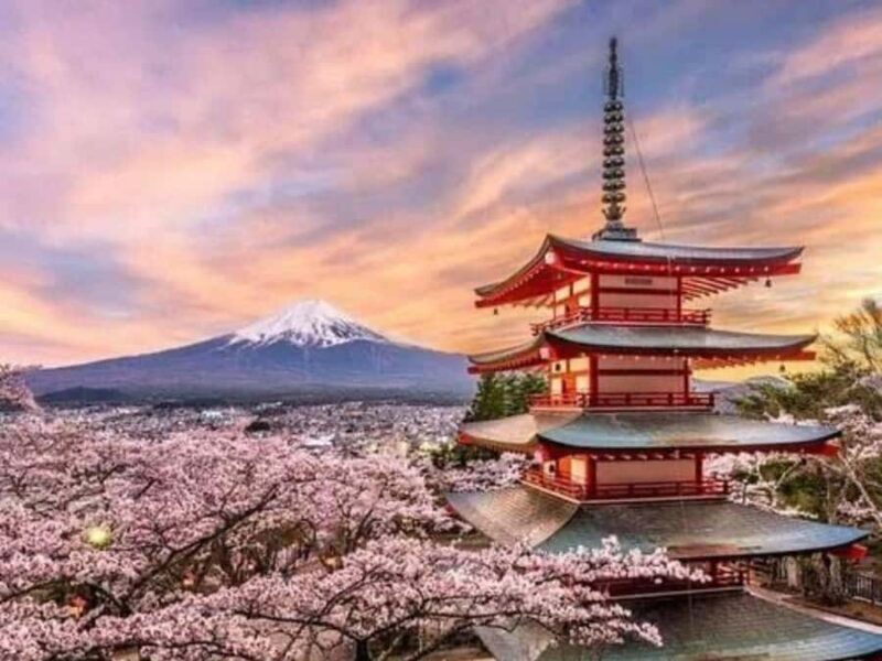 From Tokyo: Mount fuji Private Customized Tour With Guide - Key Points