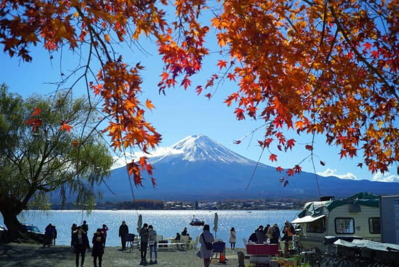 From Tokyo: Mount Fuji Private Day Tour Fully Customizable - Exploring the Mount Fuji Private Day Tour from Tokyo: Is It Worth It?