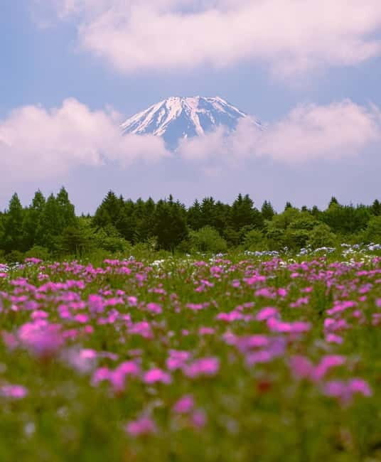 From Tokyo: Mount Fuji Private Day Tour Fully Customizable - Key Points