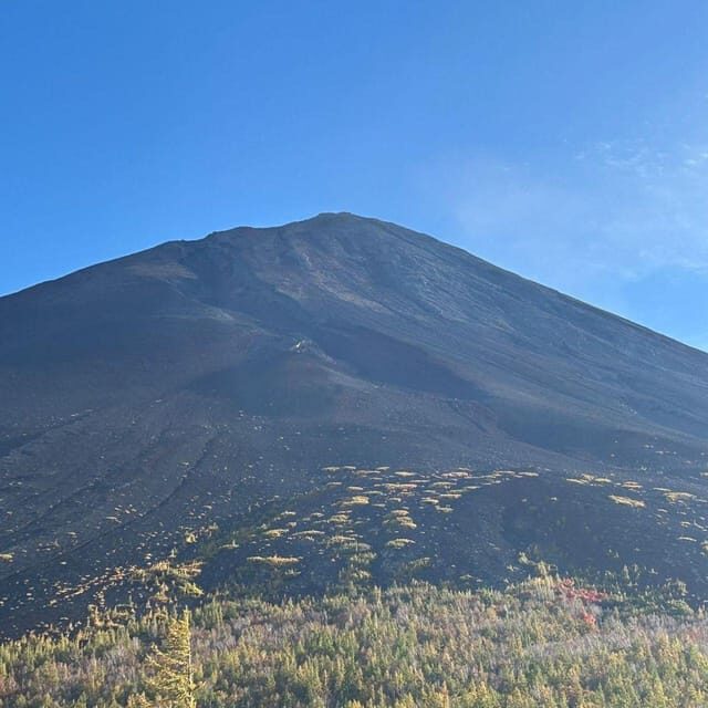 From Tokyo: Mount Fuji Private Day Tour Fully Customizable - Reviews & Real Experiences