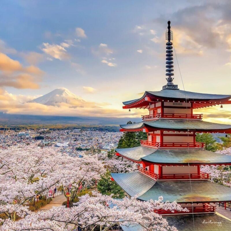 From Tokyo: Mount Fuji Private Day Tour Fully Customizable - Who Is This Tour Best For?