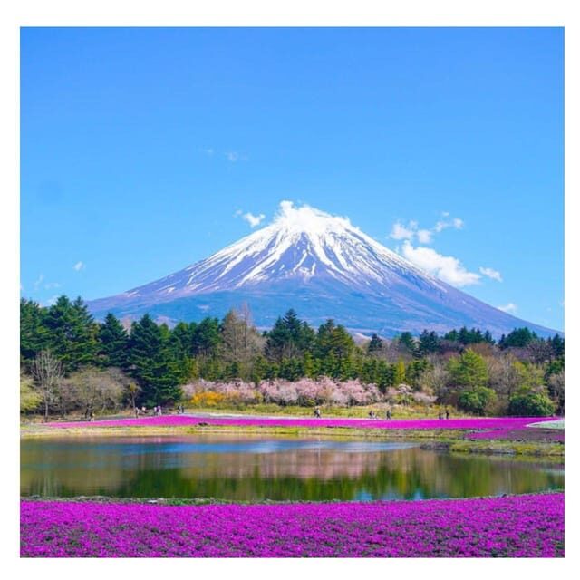 From Tokyo: Mount Fuji Private Day Tour Fully Customizable - FAQ
