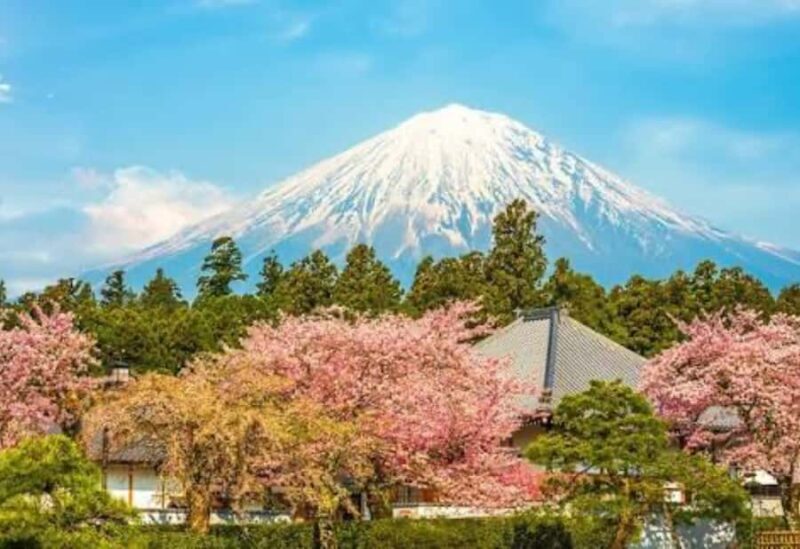 From Tokyo: Mount Fuji Private Day Tour With English Guide - Key Points