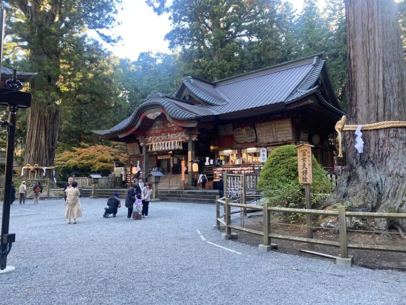 From Tokyo: Mount Fuji Private Day Trip with Pickup - Key Points