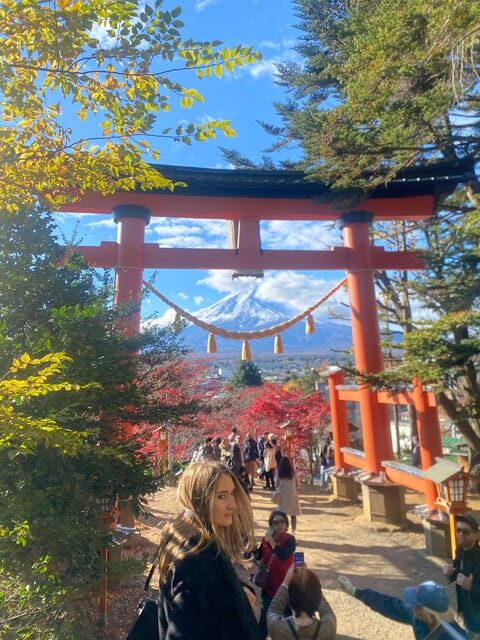 From Tokyo: Mount Fuji Private Day Trip with Pickup - Who Would Love This Tour