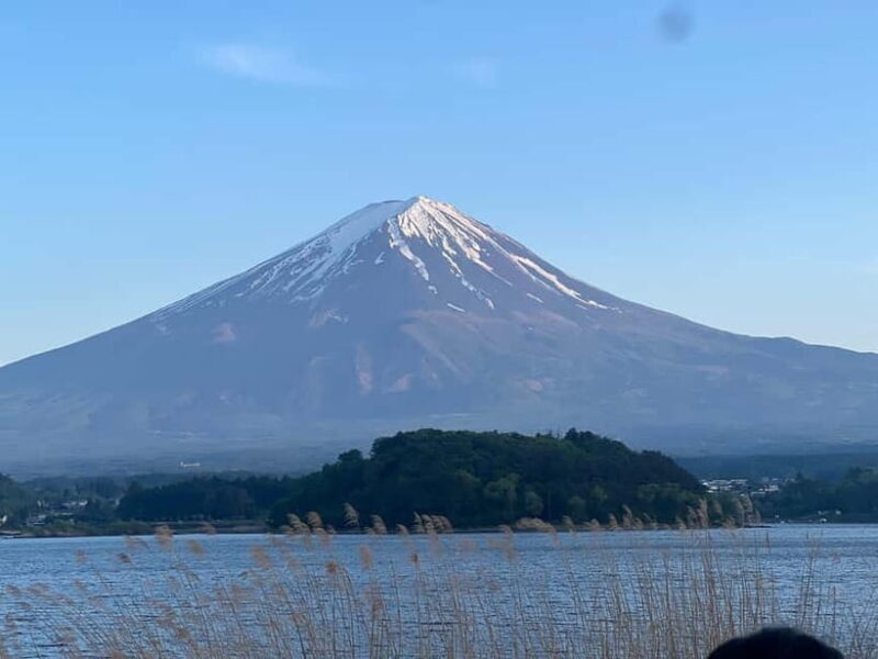 From Tokyo: Mount Fuji Private Tour with a Driver/Guide - A Closer Look at the Mount Fuji Private Tour