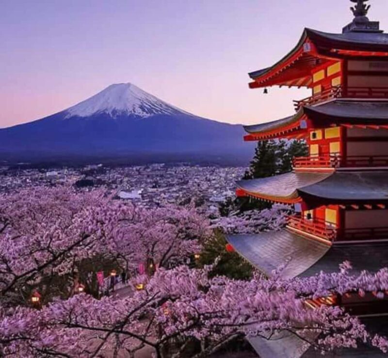 From Tokyo: Mount Fuji Private Tour with Driver-Guide - Key Points