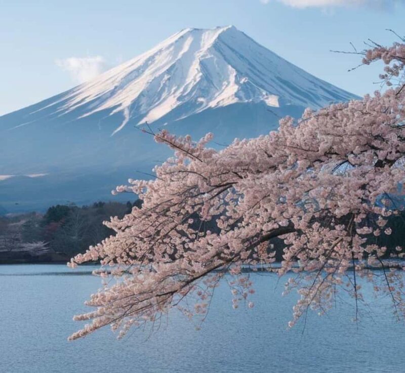 From Tokyo: Mount Fuji Private Tour with English Driver - Key Points