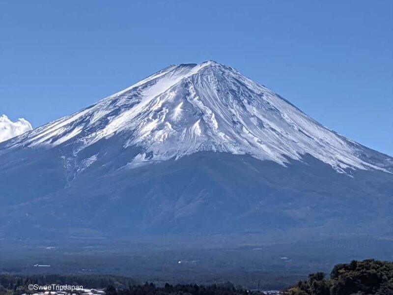 From Tokyo : Mount Fuji Private Tour with English Guide - FAQ