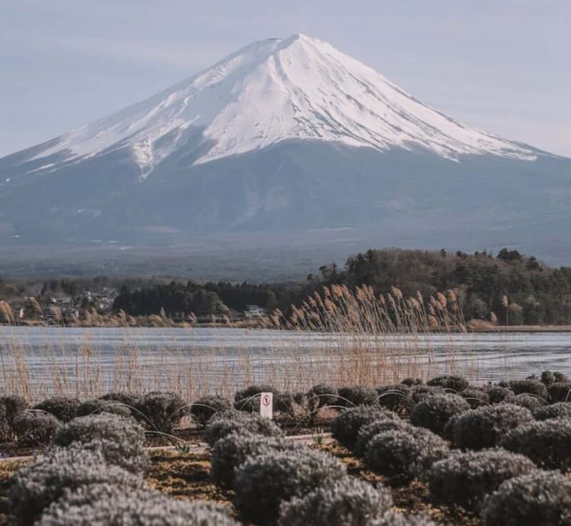 From Tokyo: Mount Fuji Private Tour with English Guide - In-Depth Look at the Mount Fuji Private Tour Experience